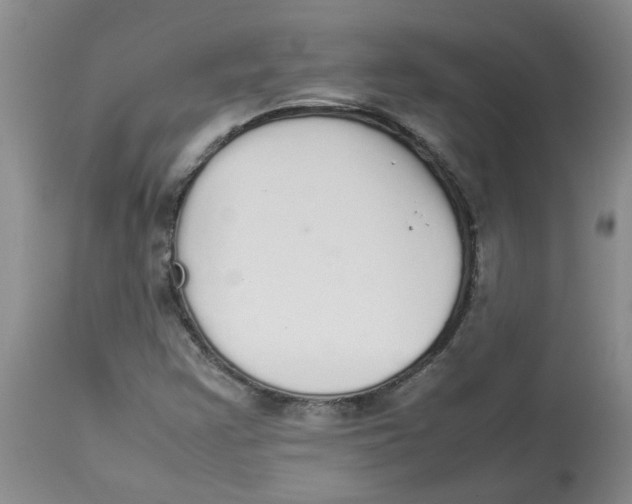 X0000112831355200909181640