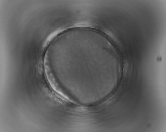 X0000112831358200909181640