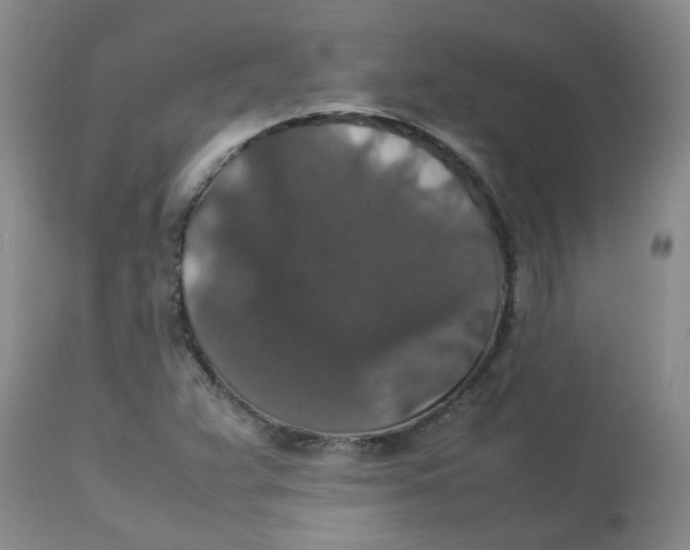 X0000112831359200909181640