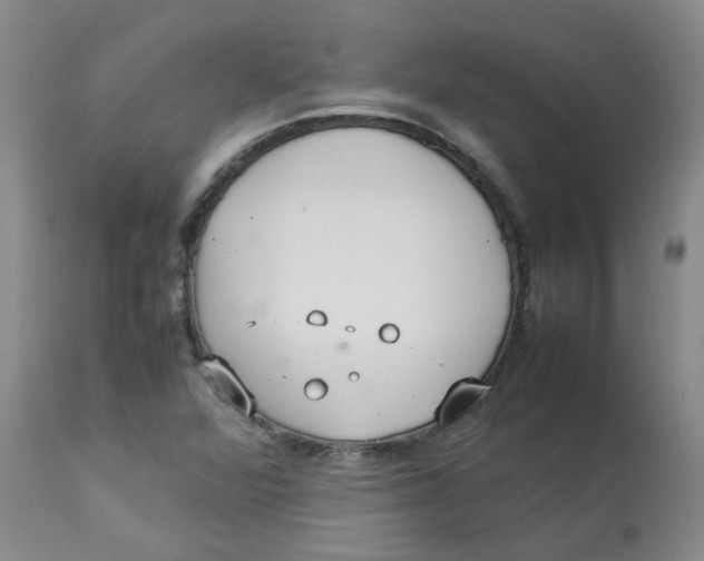 X0000112831360200909181640