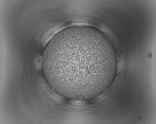 X0000112831361200909181640