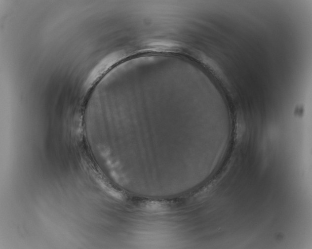 X0000112831362200909181640