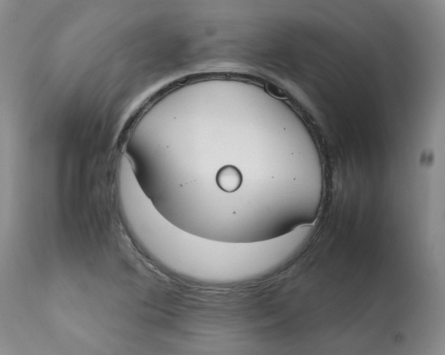 X0000112831364200909181639