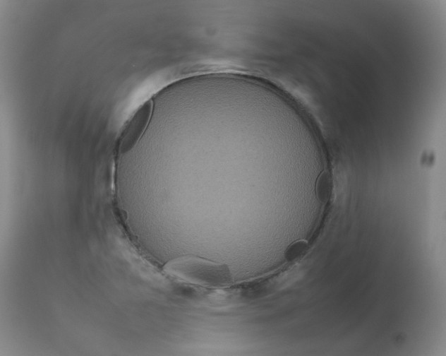 X0000112831365200909181639