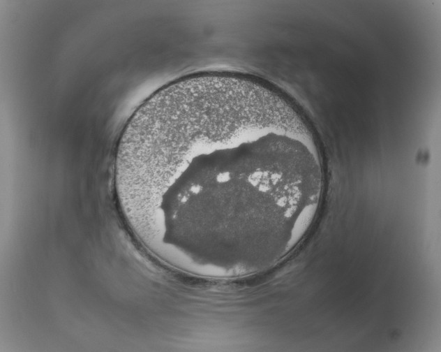 X0000112831367200909181639