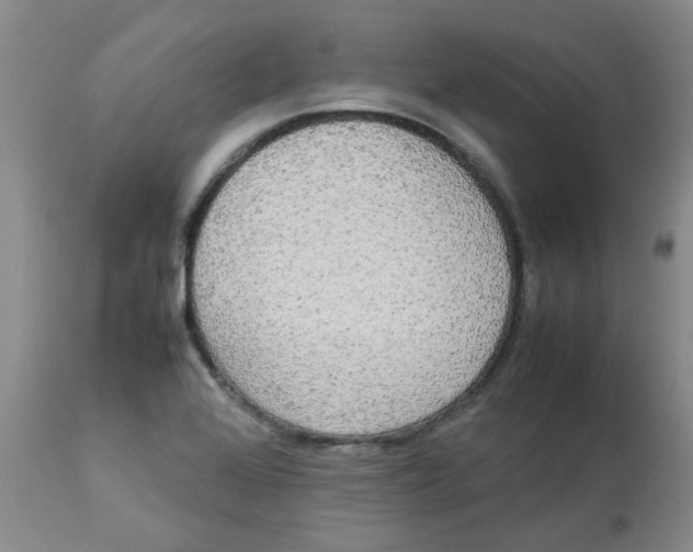 X0000112831368200909181639