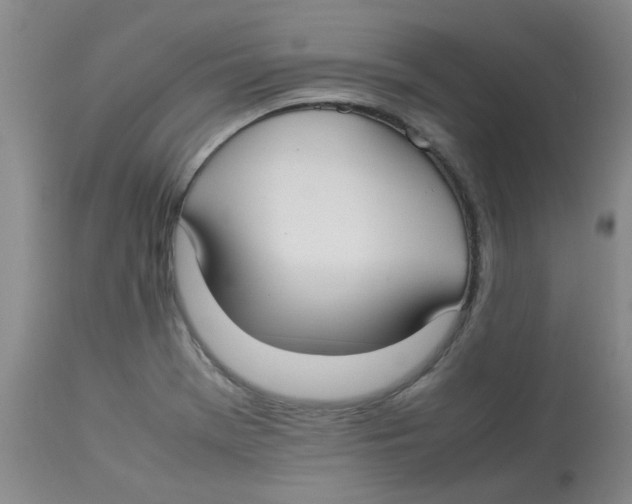 X0000112831369200909181639