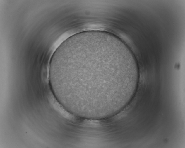 X0000112831370200909181639