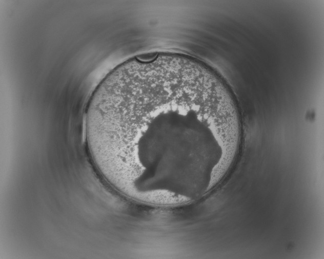 X0000112831371200909181639