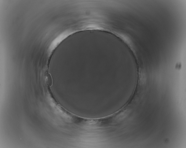 X0000112831373200909181639