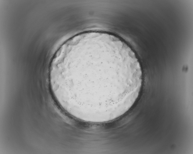 X0000112831375200909181639