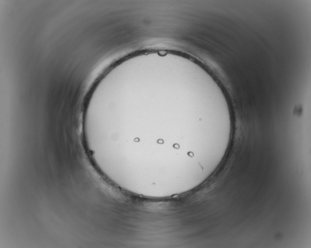 X0000112831376200909181639