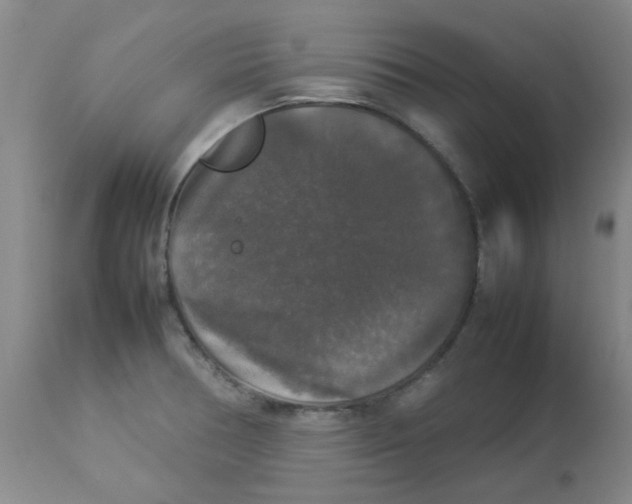 X0000112831378200909181639