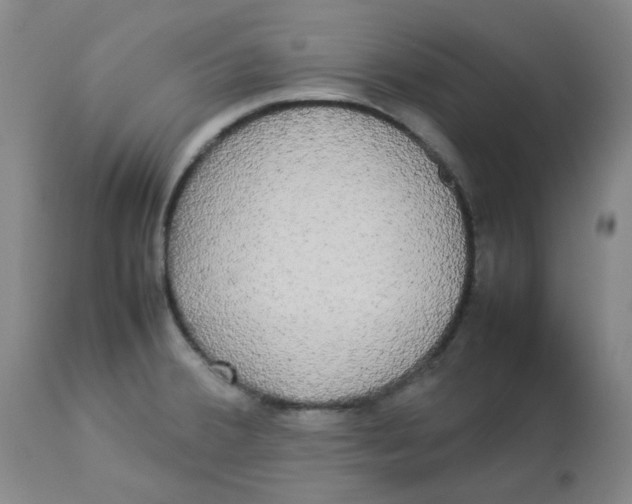 X0000112831380200909181639