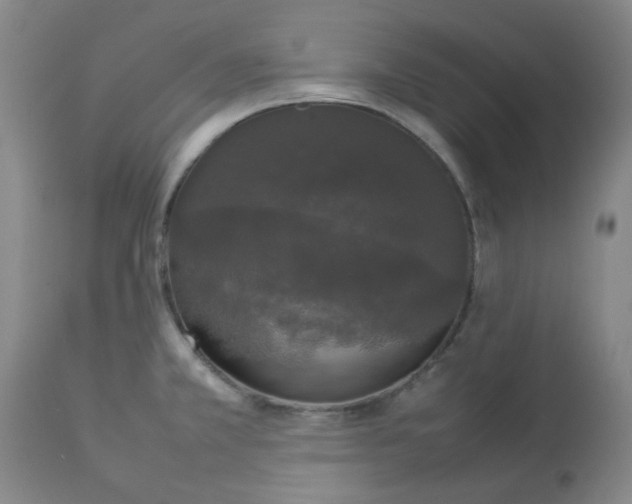 X0000112831381200909181639