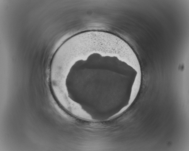 X0000112831383200909181639