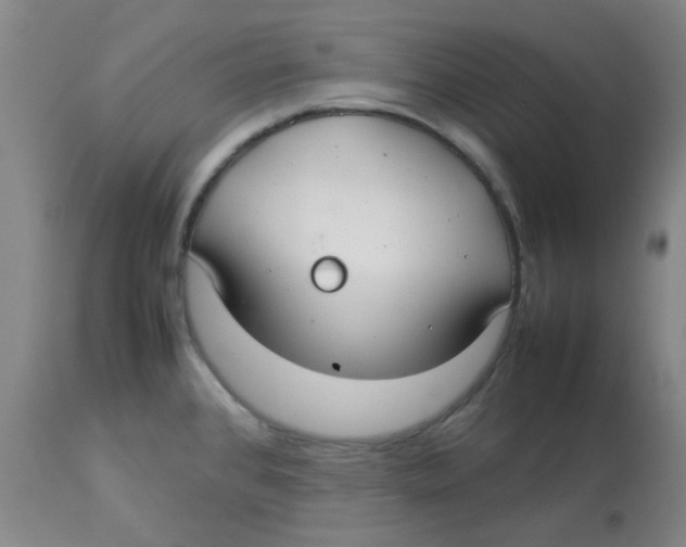 X0000112831384200909181639