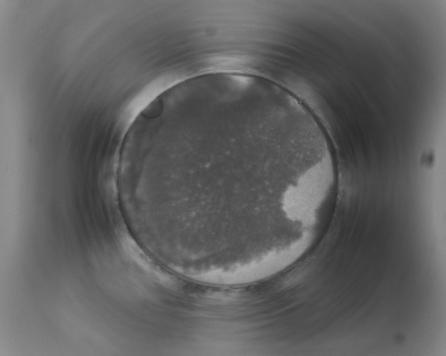 X0000112831386200909181639