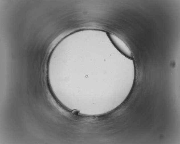 X0000112831387200909181639