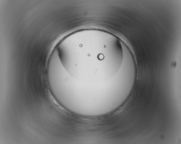 X0000112831388200909181639