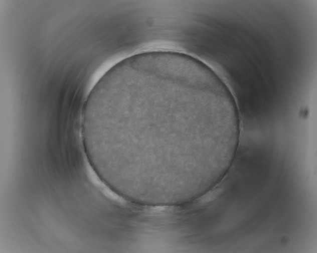 X0000112831390200909181639