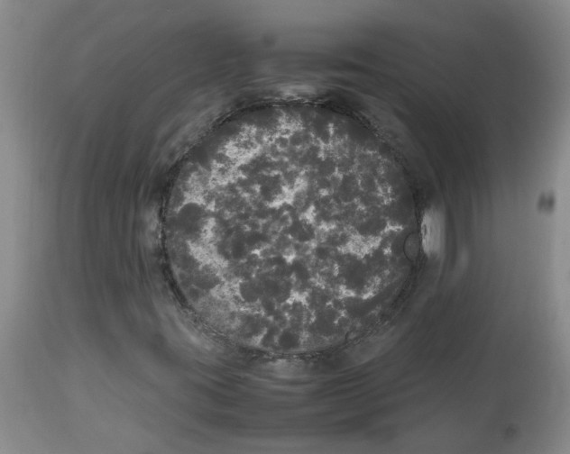 X0000112831395200909181638