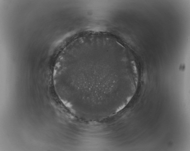 X0000112831398200909181639