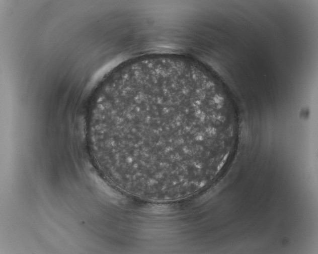 X0000112831402200909181639