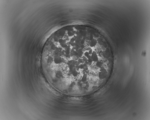 X0000112831409200909181639