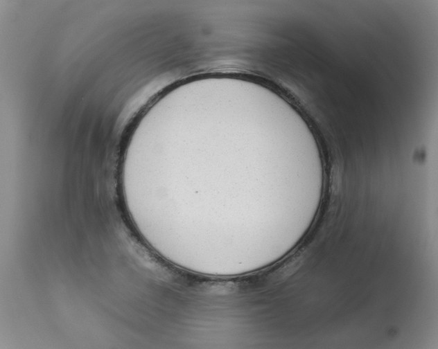 X0000112831410200909181639