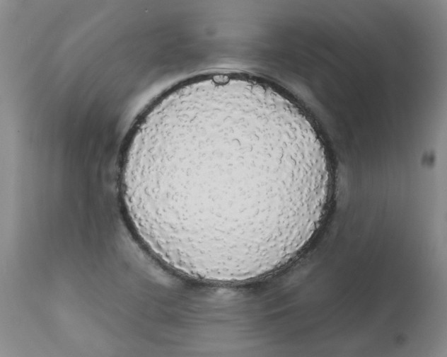 X0000112831412200909181639