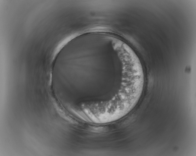 X0000112831413200909181639