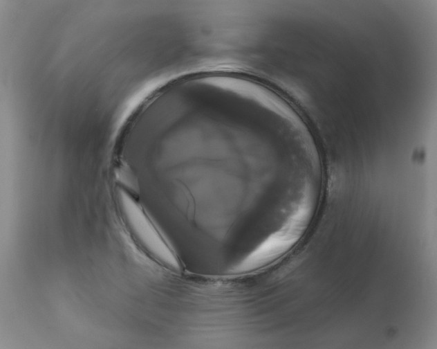 X0000112831414200909181639