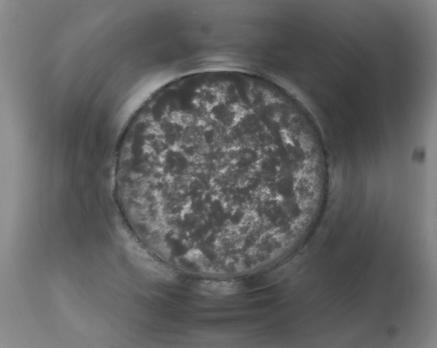 X0000112831415200909181639