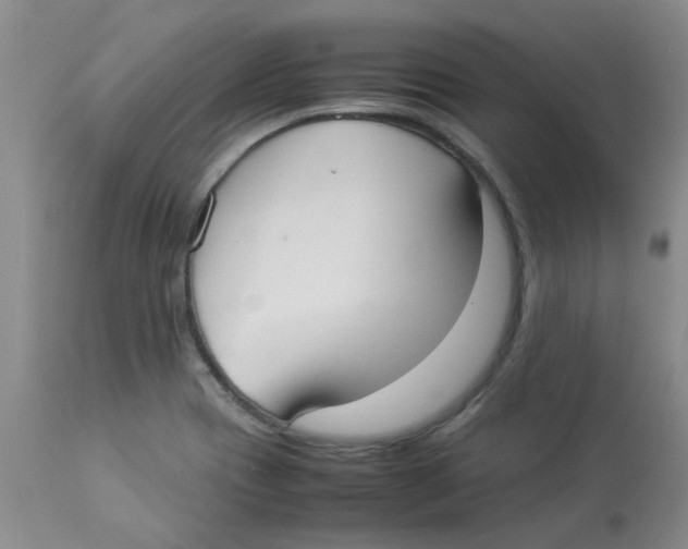 X0000112831417200909181639