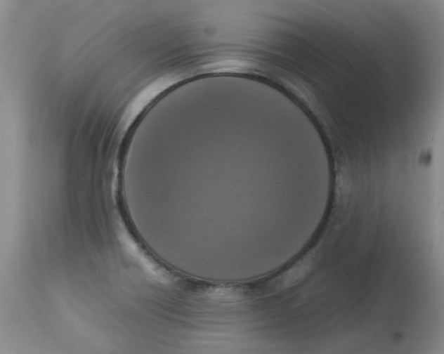 X0000112831418200909181639