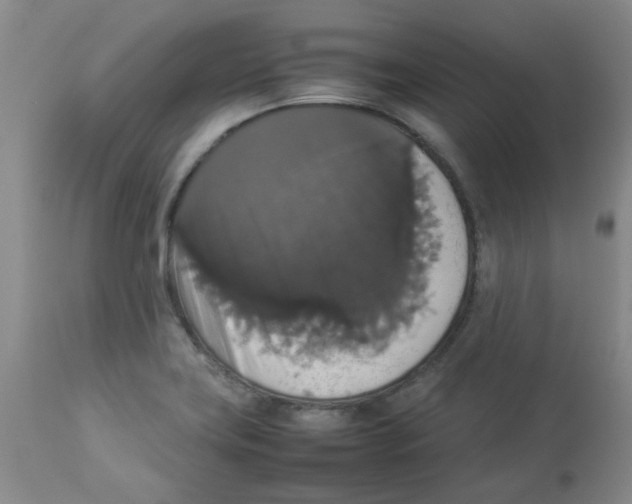 X0000112831419200909181639