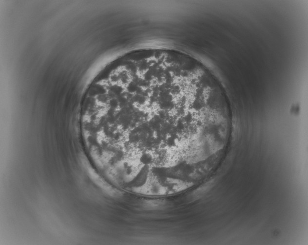 X0000112831421200909181639