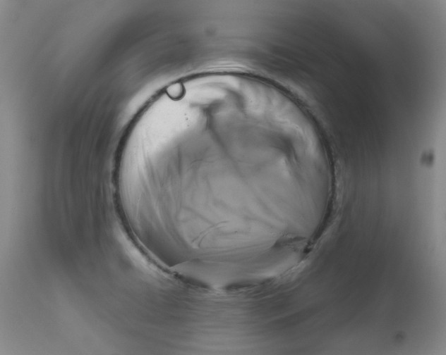 X0000112831422200909181639