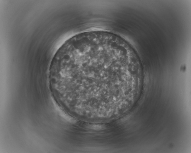 X0000112831423200909181639