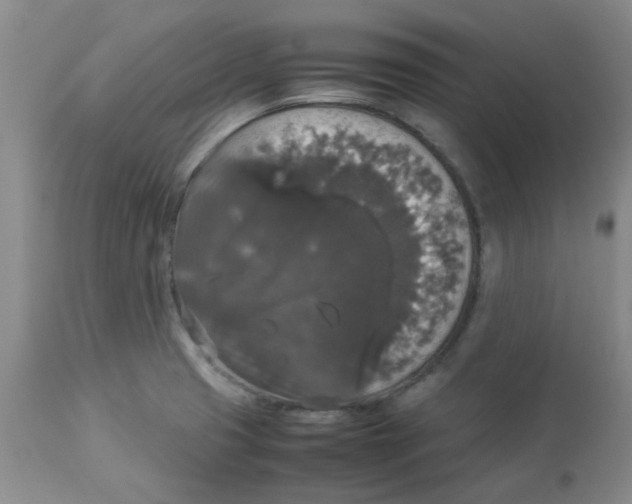 X0000112831425200909181639