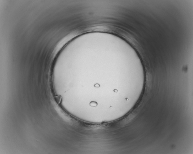 X0000112831426200909181639