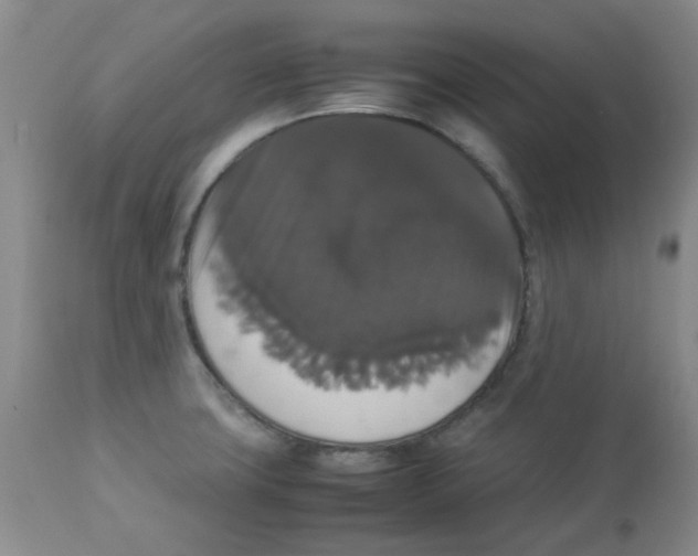 X0000112831427200909181639