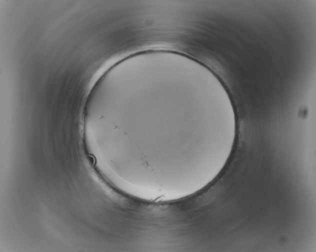 X0000112831428200909181639