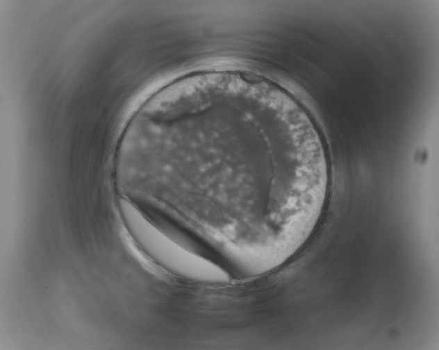 X0000112831429200909181639