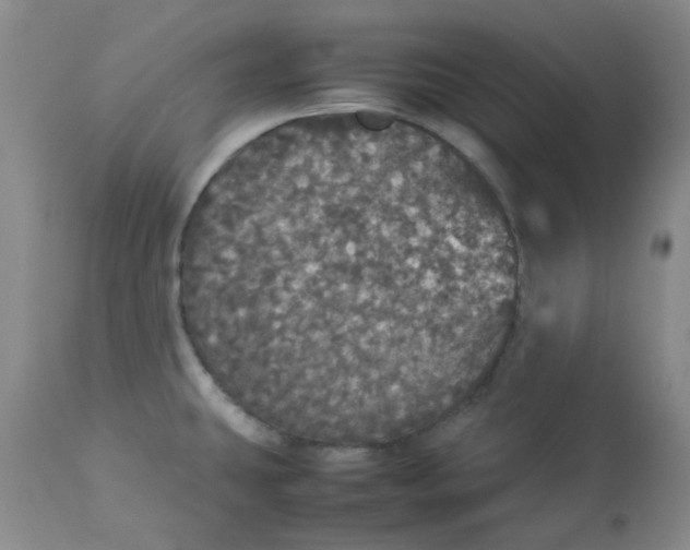 X0000112831431200909181639