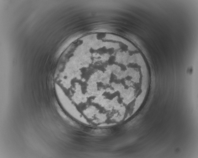 X0000112831433200909181639