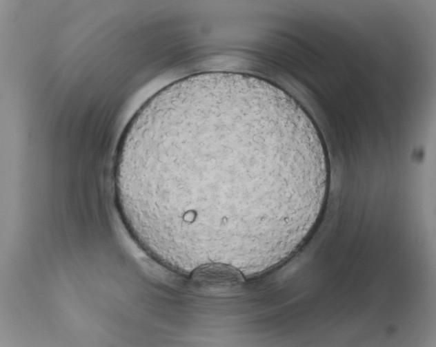 X0000112831434200909181639