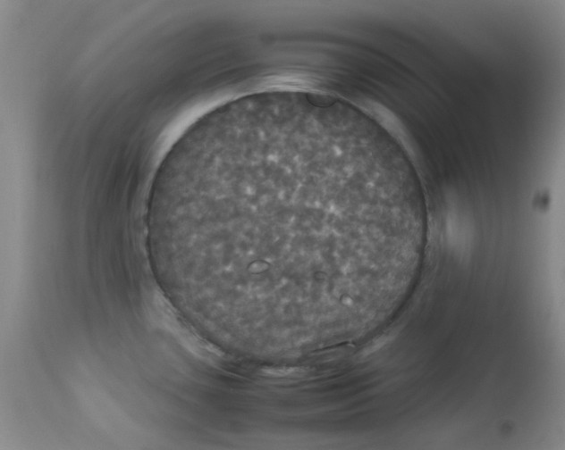 X0000112831435200909181639