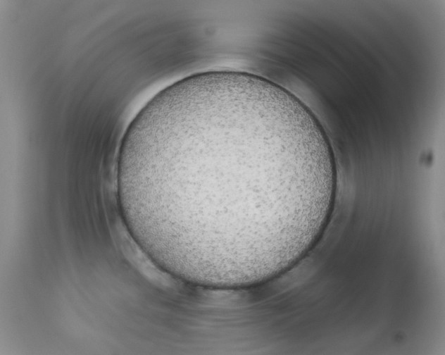 X0000112831436200909181639